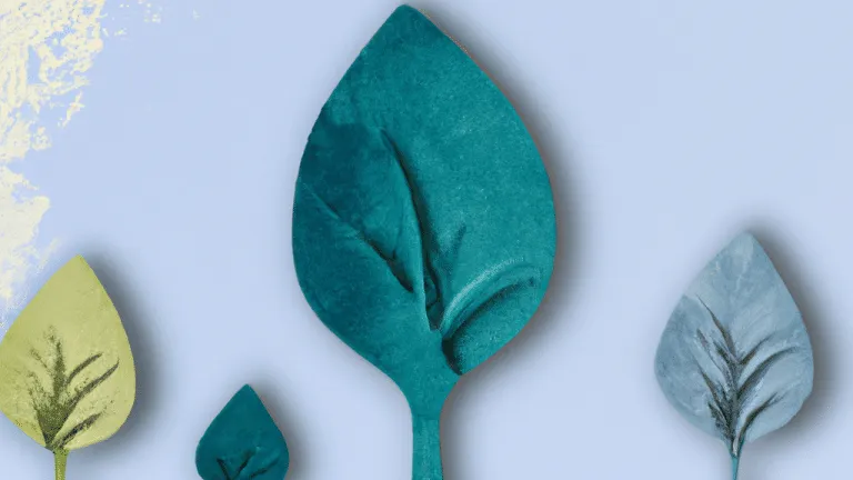 10 dicas para tornar sua vida mais sustentável e ajudar o planeta