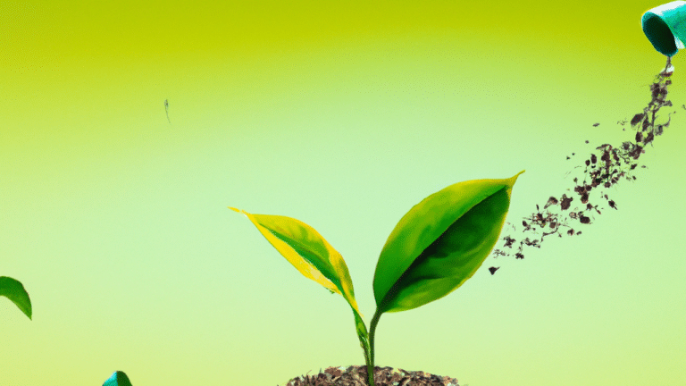 5 passos para um futuro mais verde: como adotar o desenvolvimento sustentável em sua vida