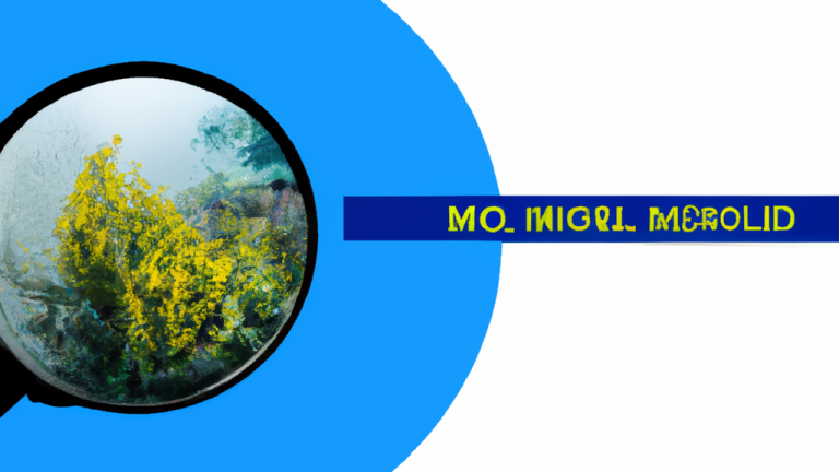 Descubra como reduzir sua pegada ecológica e salvar o planeta!