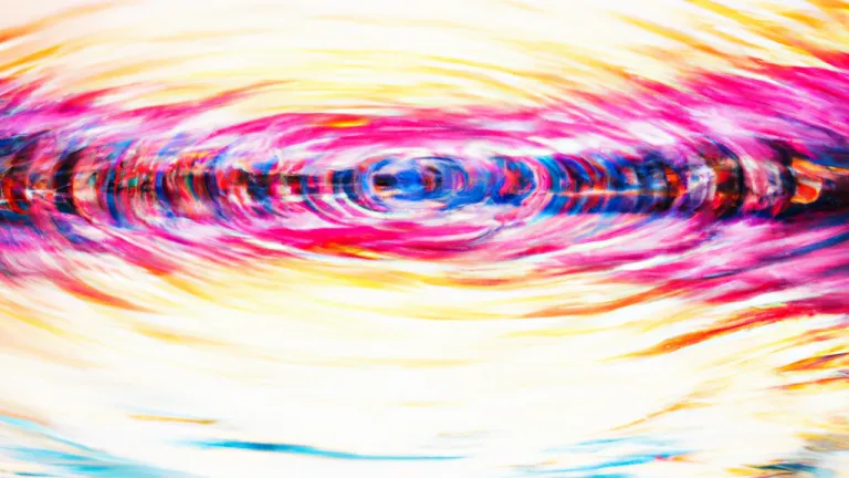 How the Ecosystem Directly Impacts Your Life