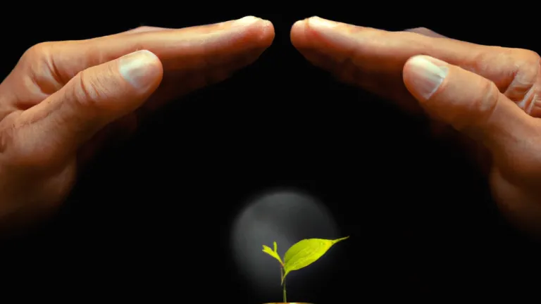 Clean Energy: Building a Sustainable Future Together