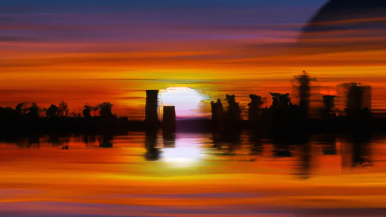 Environmental Impact: How Our Actions Affect the Planet