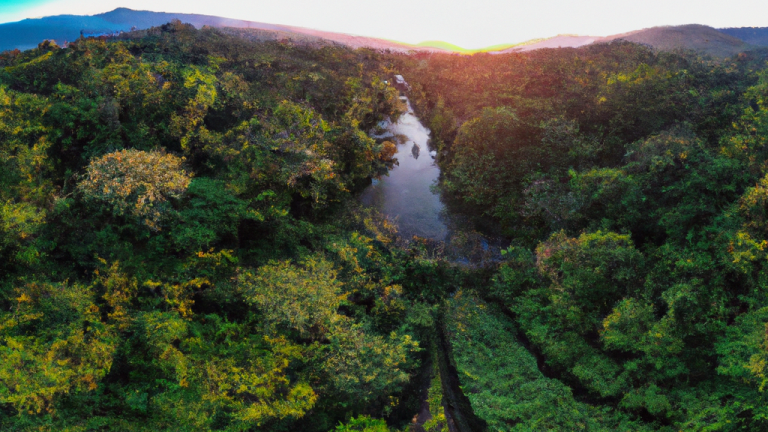 Descubra a incrível diversidade da vida em nosso planeta: biodiversidade em foco
