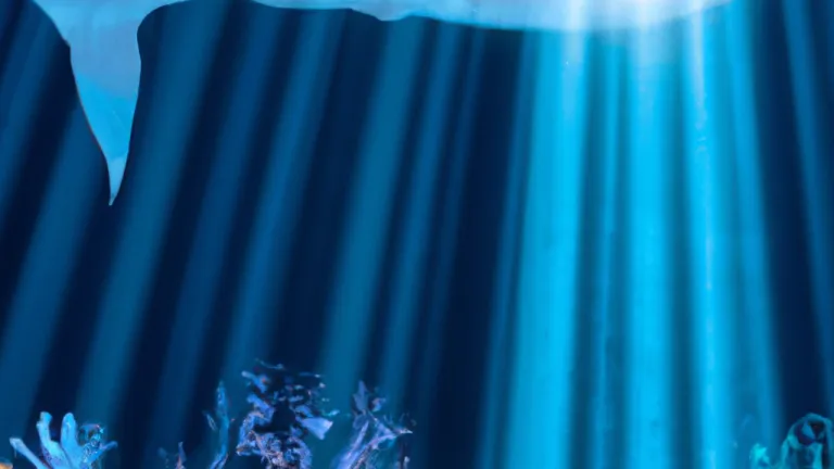 Dive into the Importance of Ocean Preservation: Why We Must Act Now