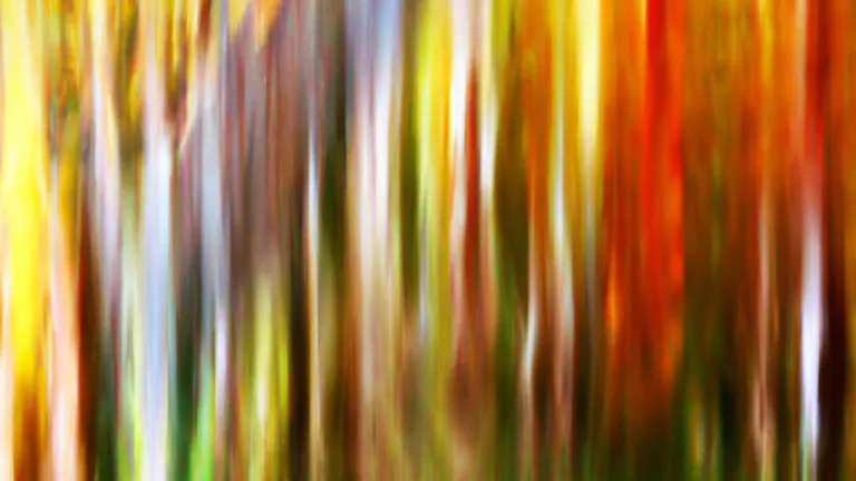 10 Steps to Enhance Awareness and Transform Your Life