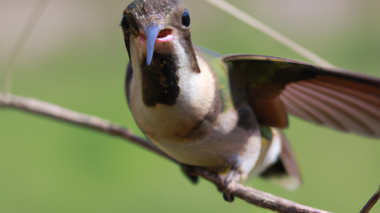 Explore the Incredible Diversity of Wildlife Around the World