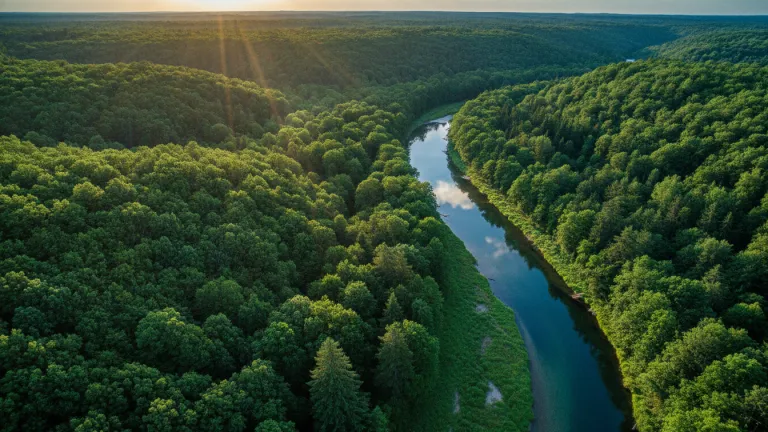 Pegada Ecológica: O Que É e Por Que Importa