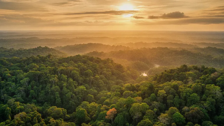 Efeito Estufa: O Que É e Como Afeta o Clima