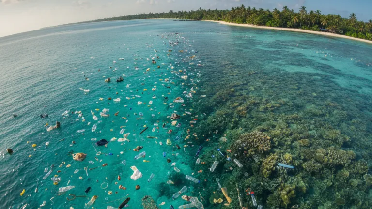 Plástico nos oceanos: o que acontece com ele